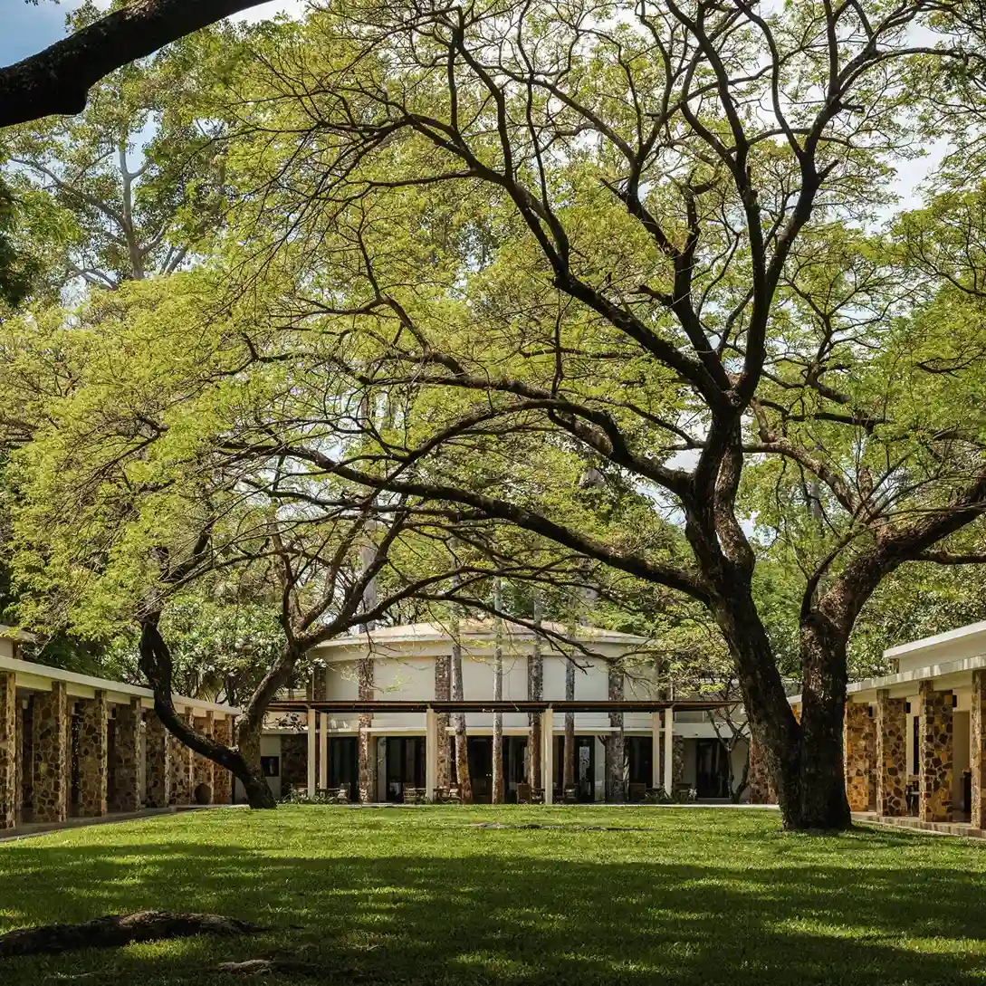 Explora la zona verde del hotel Amansara, rodeada de árboles y un paisaje natural. Perfecto para paseos tranquilos o simplemente disfrutar de la de la naturaleza.