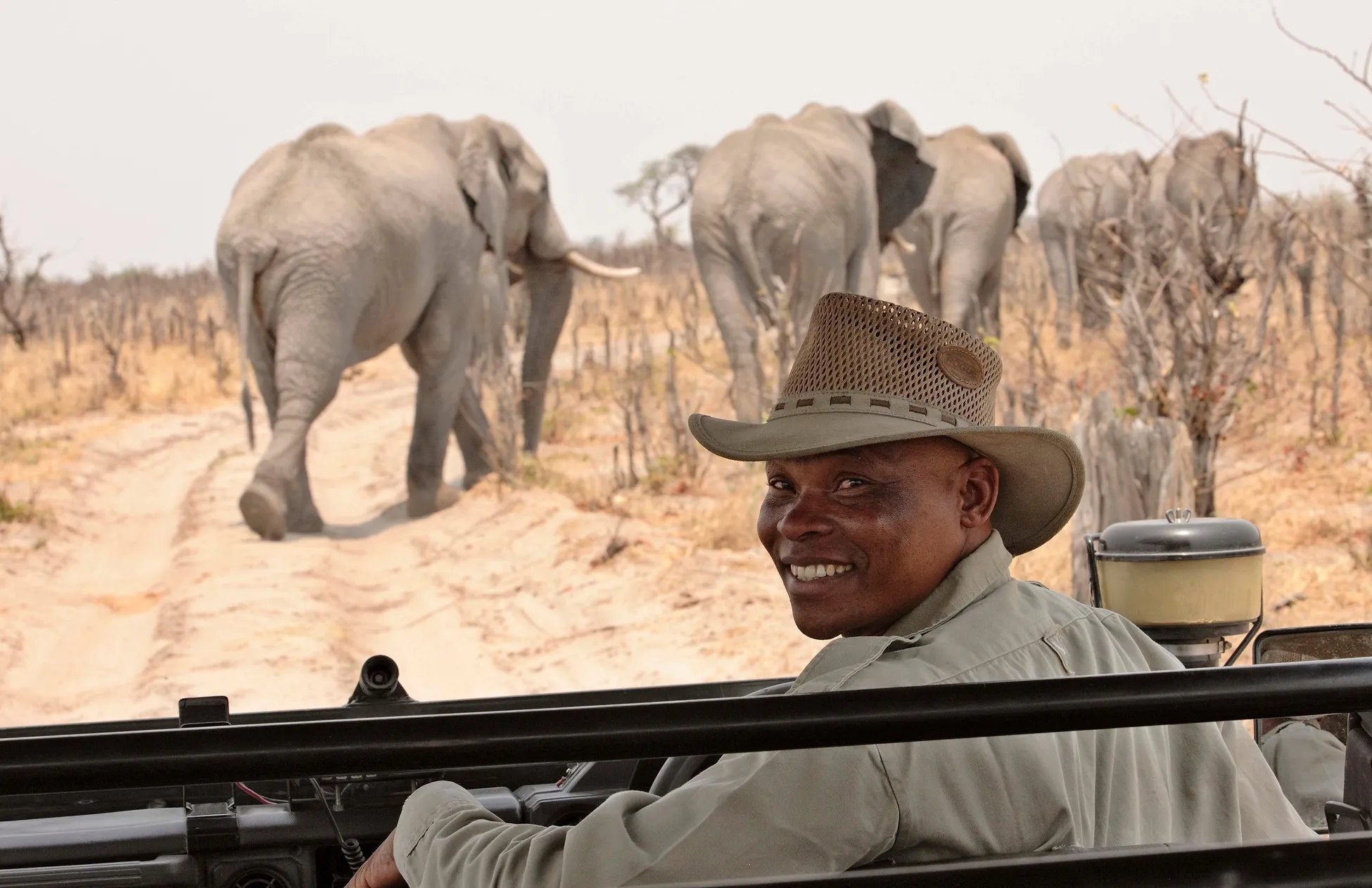 Guía de Safari en un recorrido