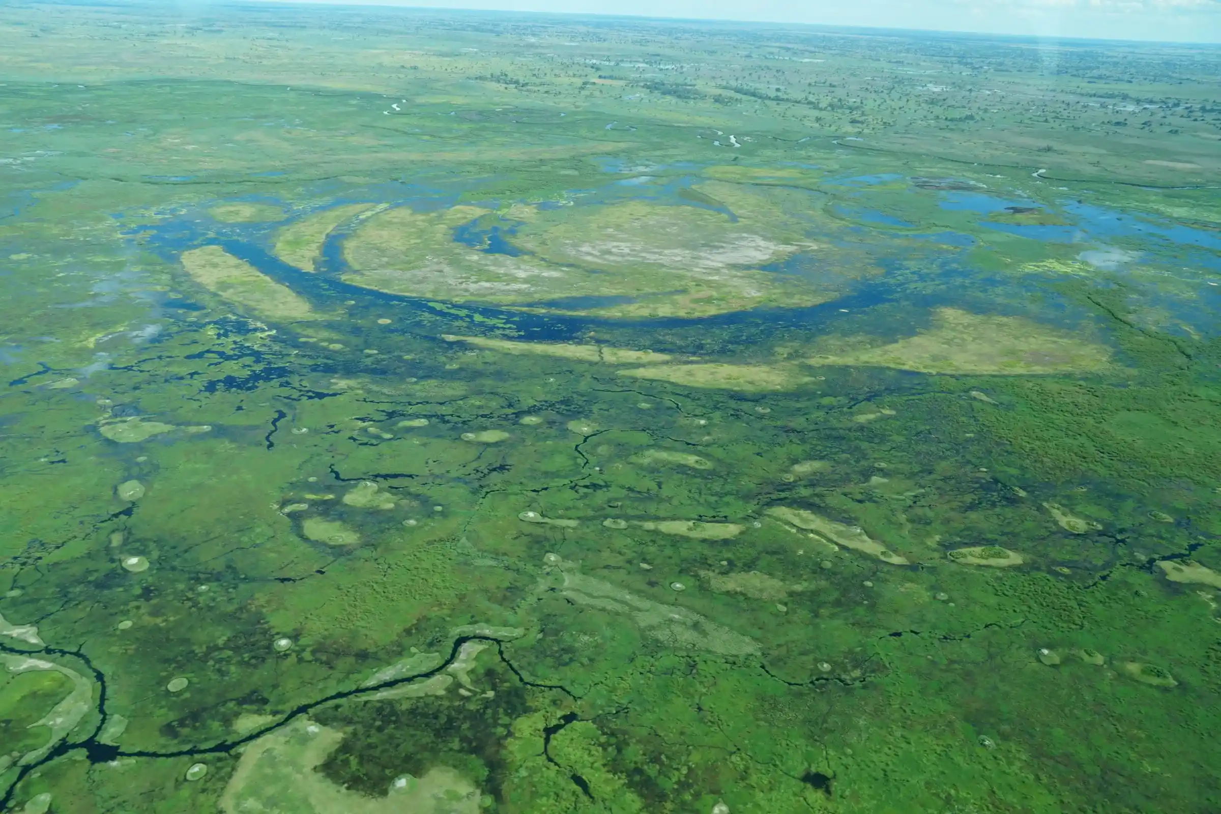 Journale te ofrece una vista del río en Botsuana, donde el agua se mezcla con la naturaleza que rodea el lugar.