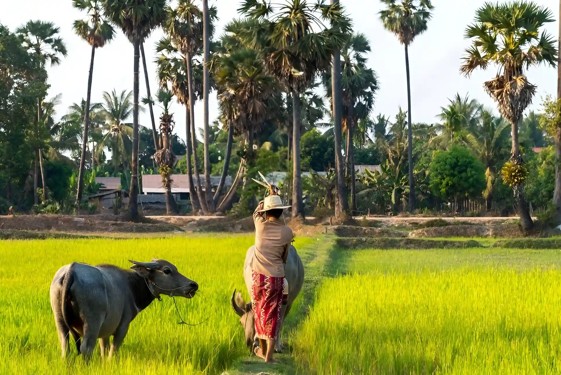 mujer caminando por uno de los lugares de camboya
