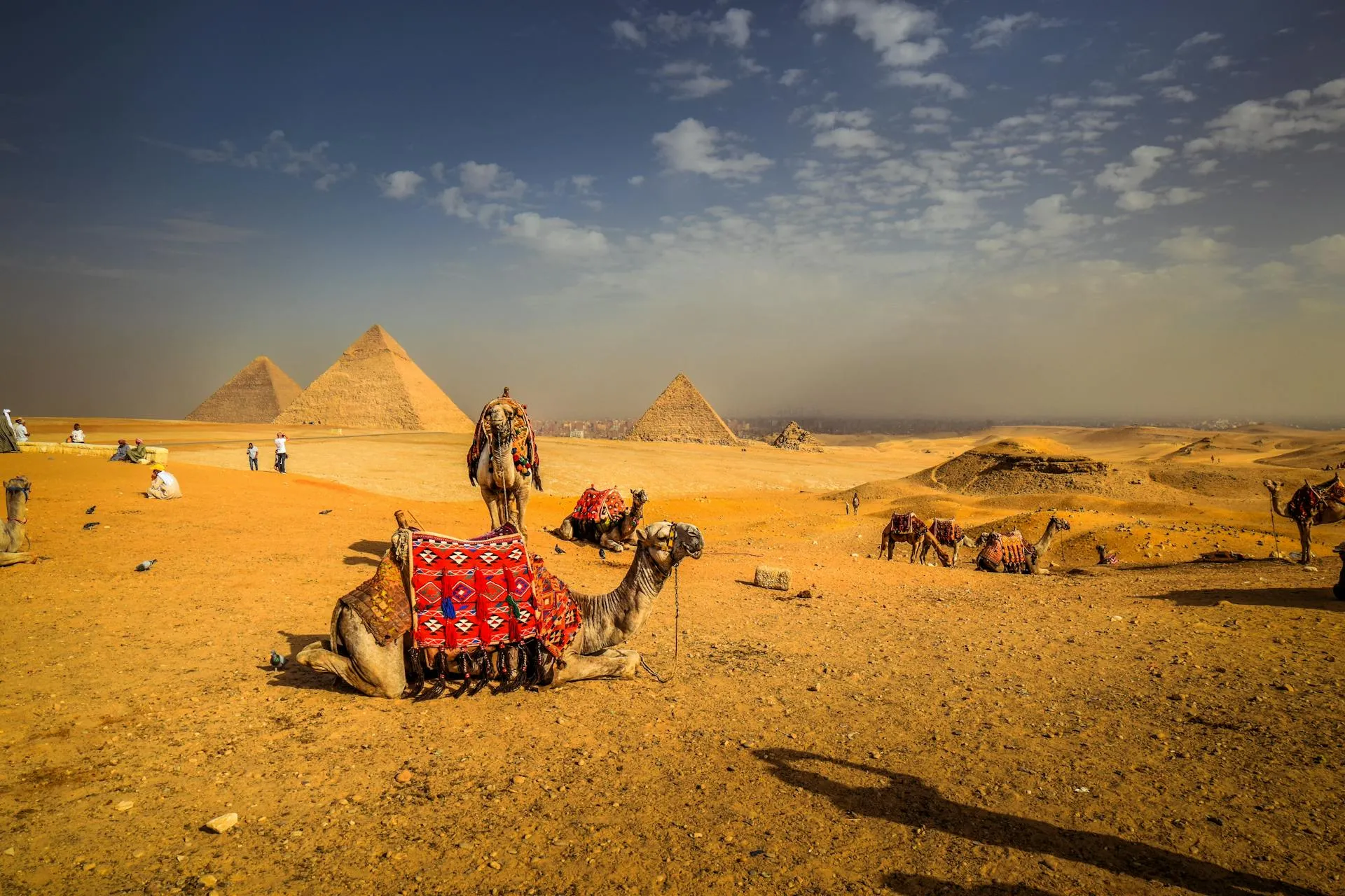 el desierto de Egipto donde vas a poder recorrer sus lugares en camellos