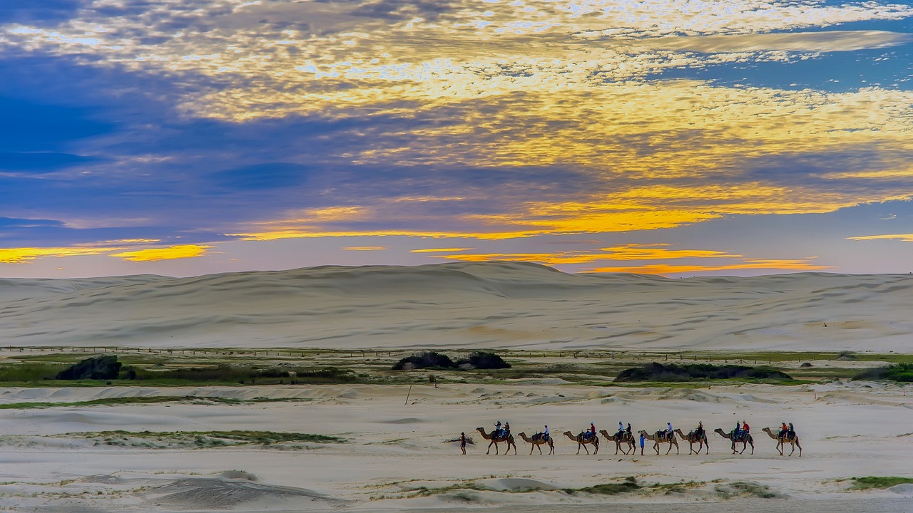 Journale te lleva a explorar Egipto, donde vas a poder realiza un recorrido en camello por el desierto.