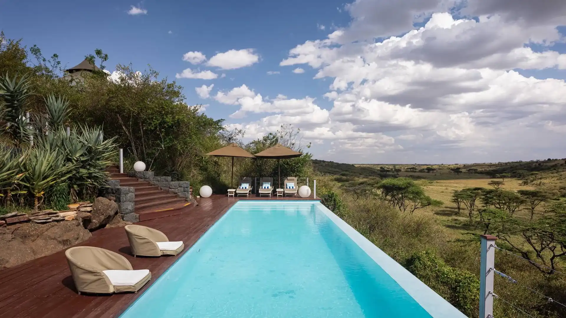 piscina grande y lujosa con sillas alrededor rodeada de plantas y con vista al safari