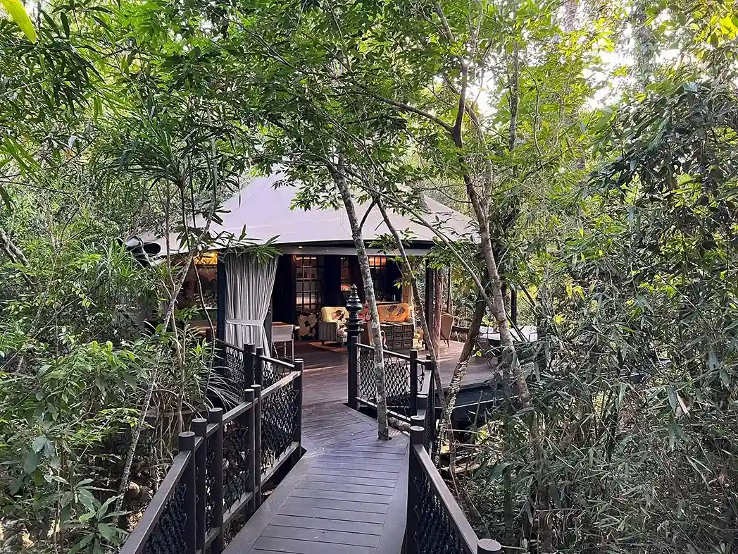 Accede a tu habitación en Shinta Mani salvaje a través de un exclusivo puente rodeado de árboles, que te ofrece una experiencia única de inmersión en la naturaleza.