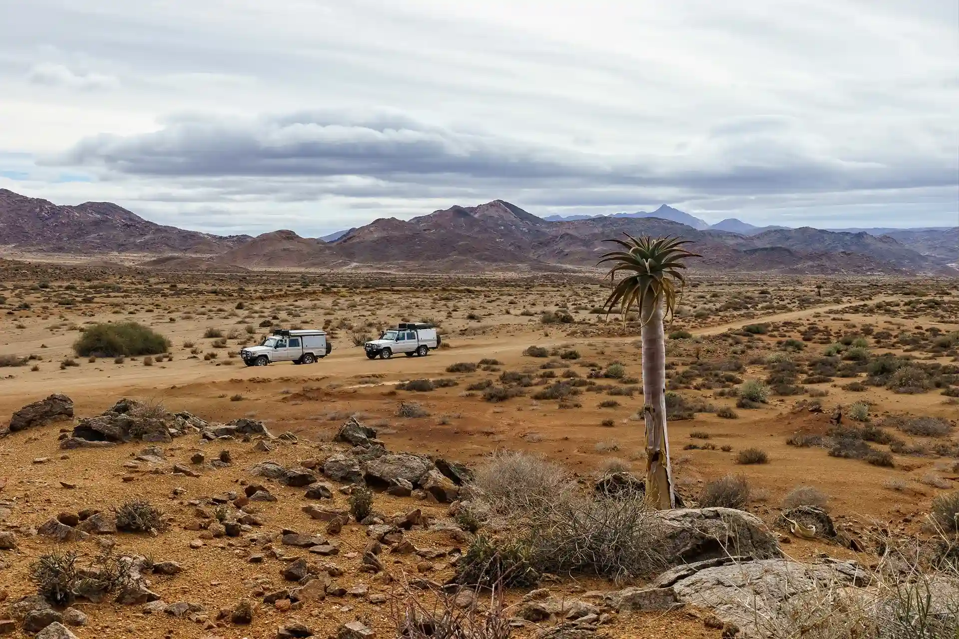 recorre el desierto en carros y vive una experiencia