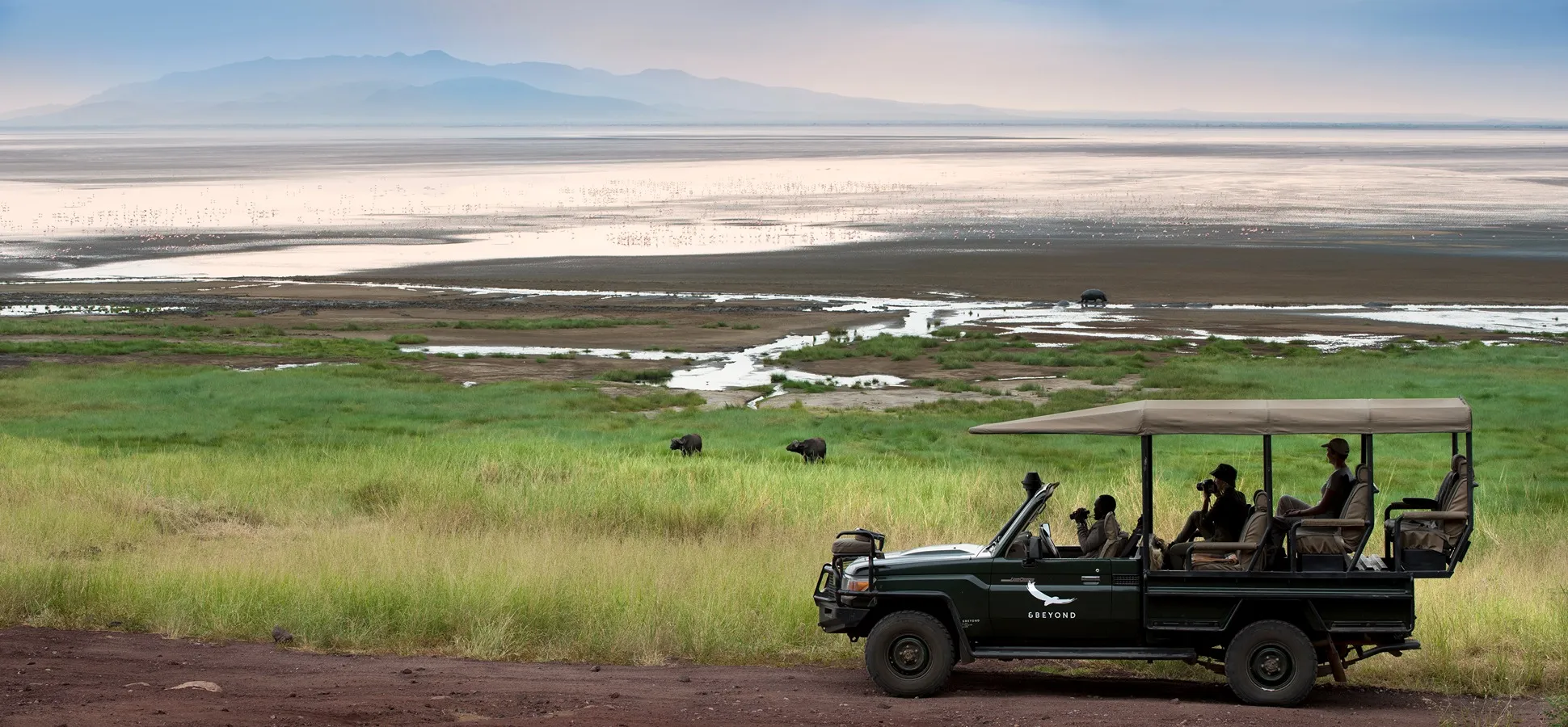 recorre el safari en jeep y vive experiencias con su gran vista de la fauna salvaje, haciendo posible tus vacaciones con journale.
