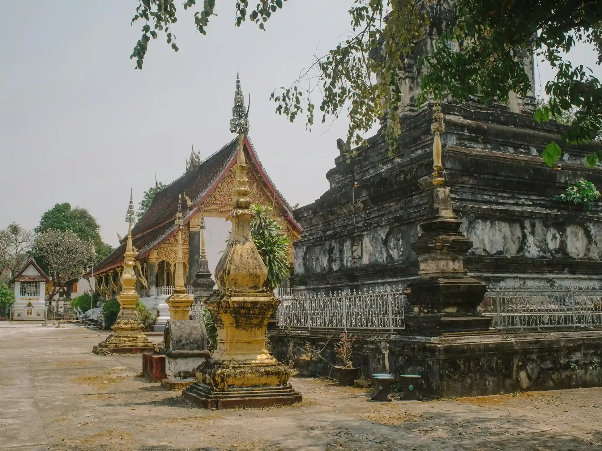 templos antiguo rodeado de arboles en laos donde puedes ir y conocer de su historia.
