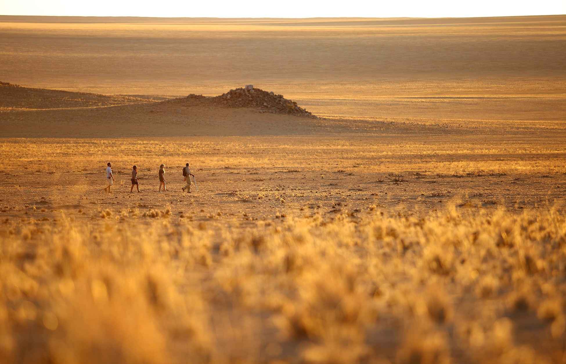 journale tiene diferentes sitios turísticos donde vas a disfrutar de una agradable caminata por el desierto junto a un guía.
