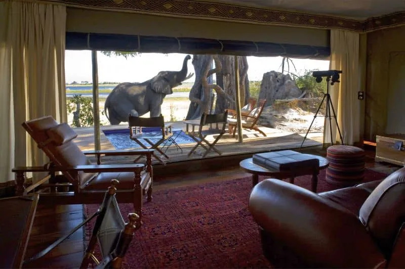sala con sillón, una lampara, una mesa de decoración y un ventanal grande que da paso al balcón con piscina y con vista al safari