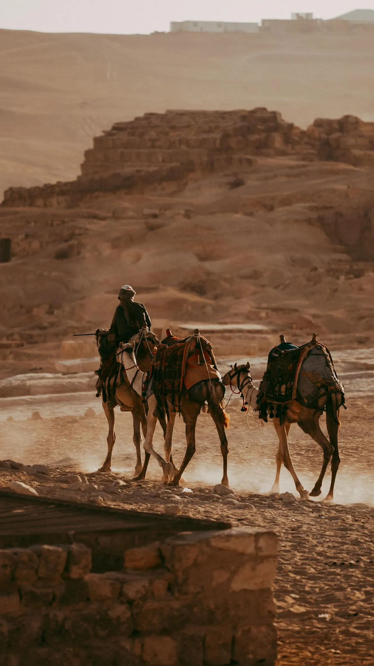 viaja con Journale a Egipto, Explora el vasto desierto montado en camello, una experiencia única que te conecta con la antigua tierra egipcia.