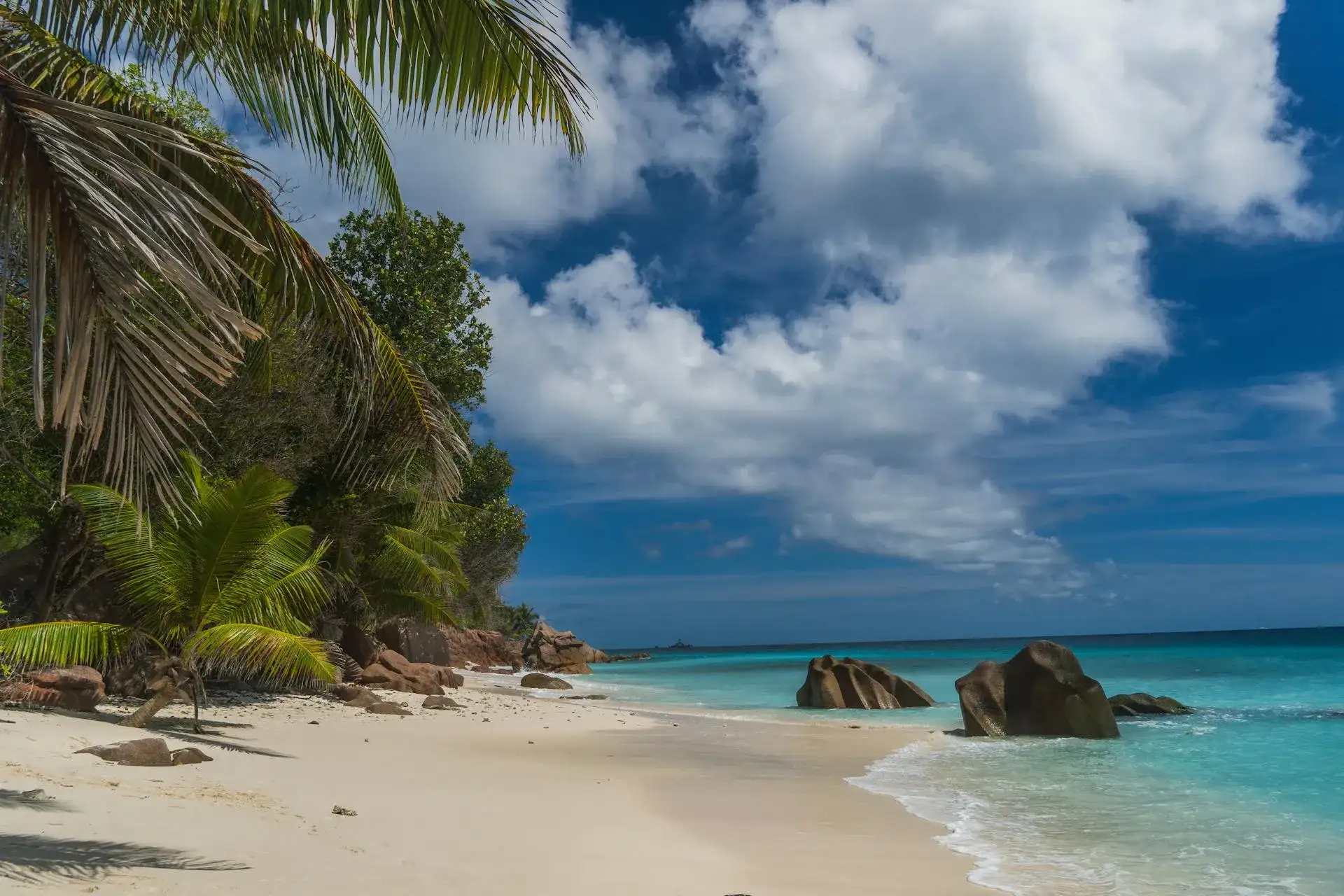 mar de agua cristalina con palmeras en la playa Seychelles