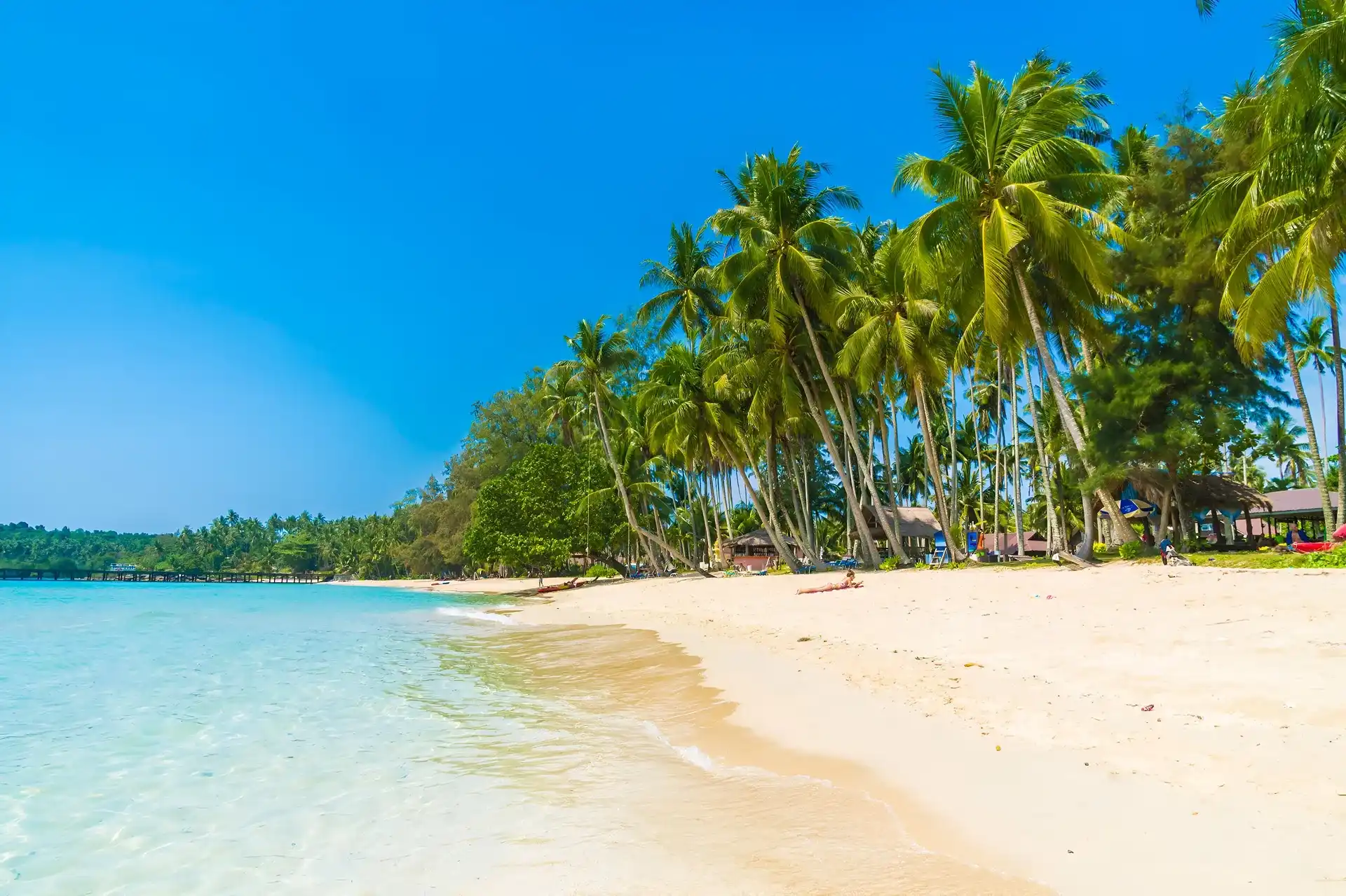 turista acostada en la arena, tomando el sol rodeada de palmeras, un lugar tranquilo para relajarte en la playa.