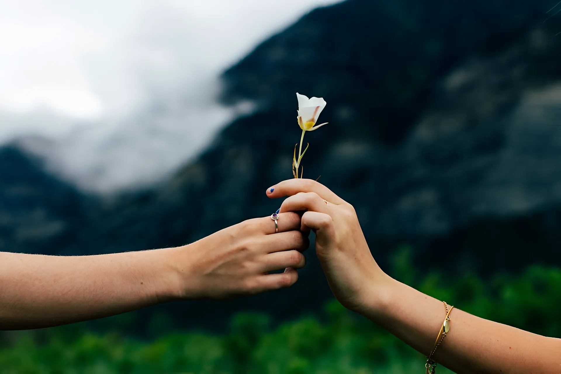 pareja agarrando juntos una flor con vista alas montañas.