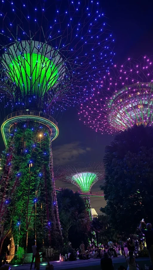 journale hace posible las vistas nocturna en Singapur con árboles adornados con luces brillantes, creando un ambiente moderno.